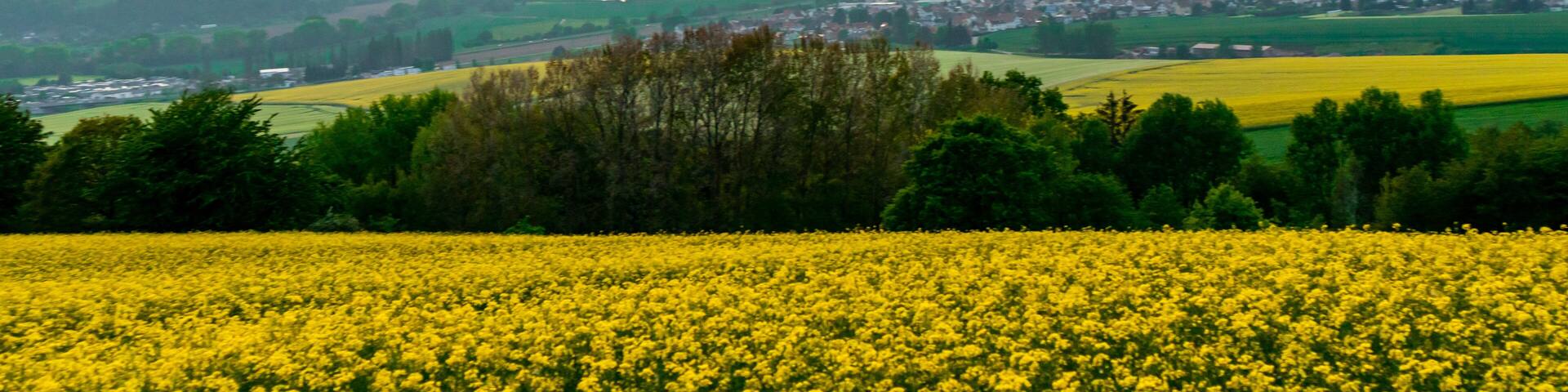 Sommerliche Fahrradtour durch das Schmalkaldener Umland bis in Werratal bei Fambach - Thüringen - Deutschland