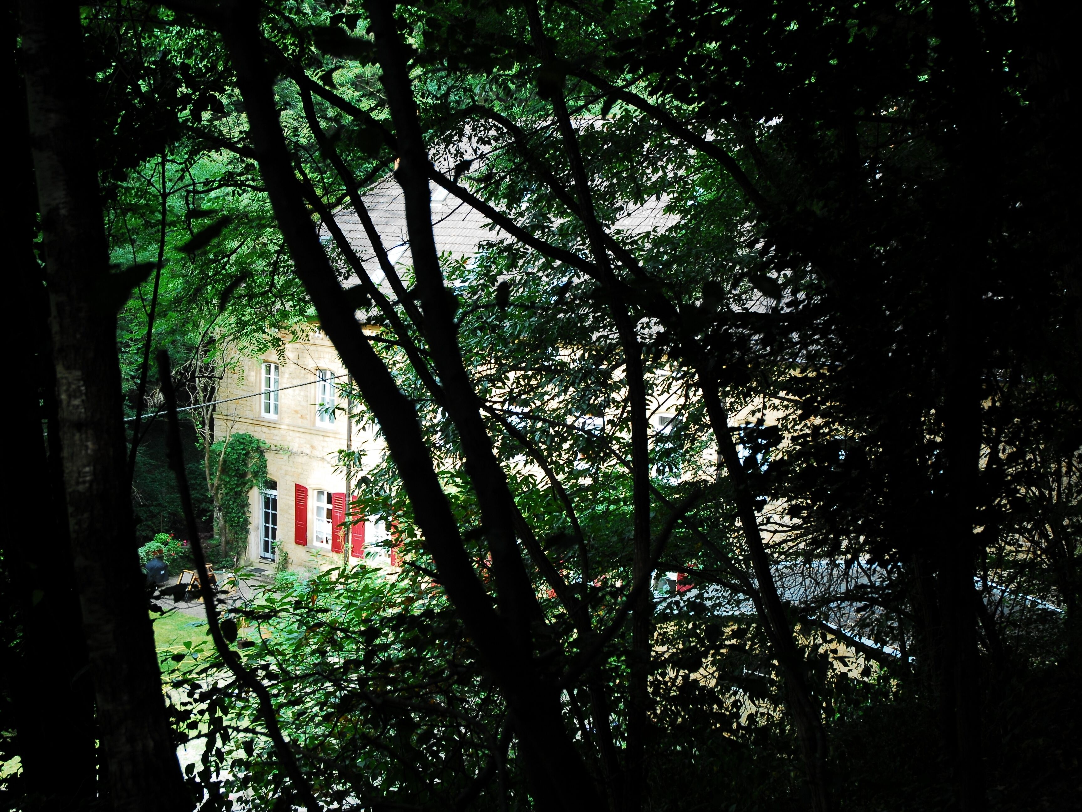 A building partially obscured by dense green foliage.