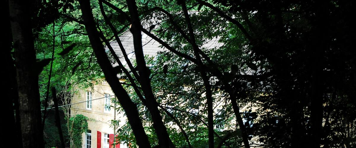 A building partially obscured by dense green foliage.