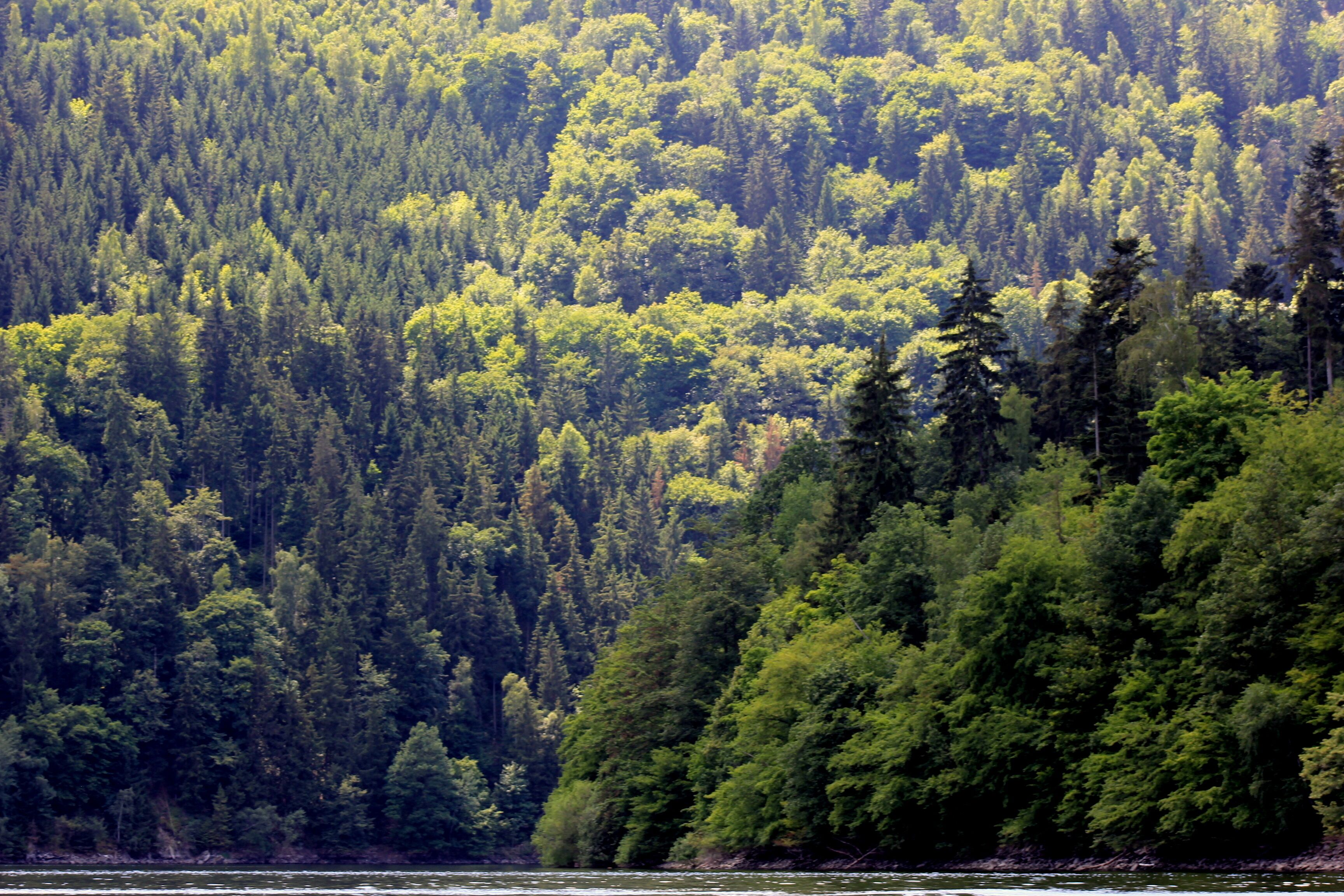 This is a picture of the protected area listed at WDPA under the ID