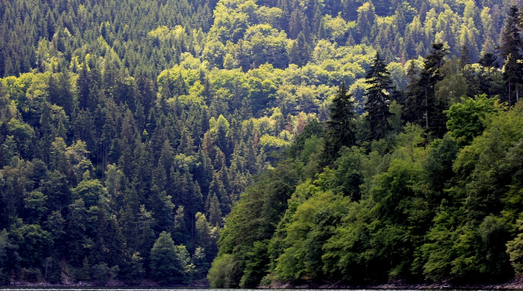 This is a picture of the protected area listed at WDPA under the ID