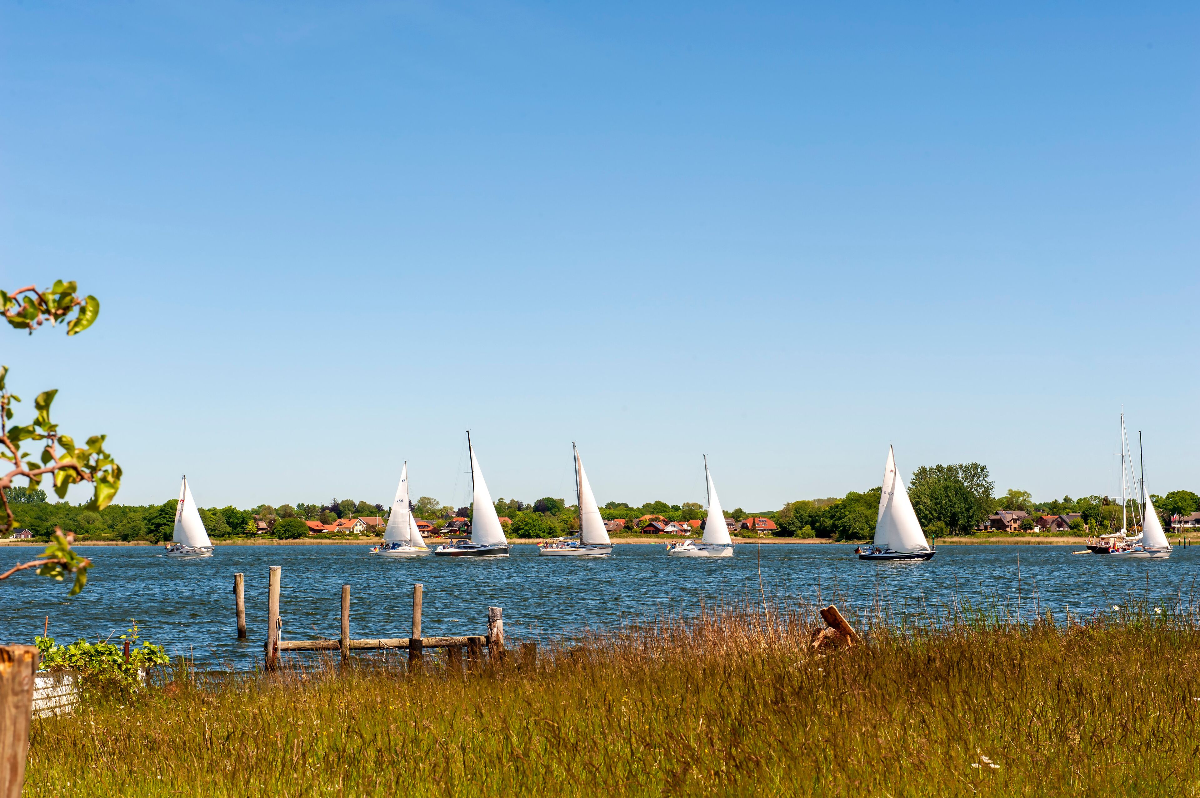 Segelboote auf der Schlei vor der Stadt Arnis , Schleswig-Holstein, Deutschland
