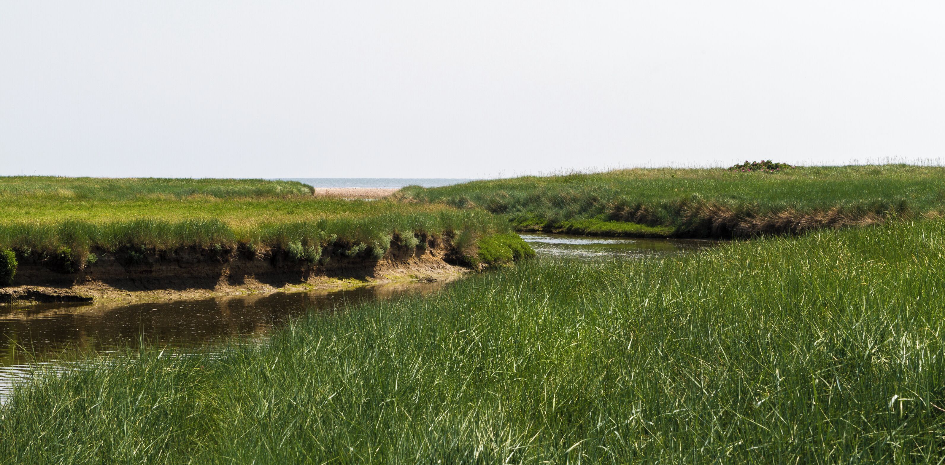 This is a picture of the protected area listed at WDPA under the ID