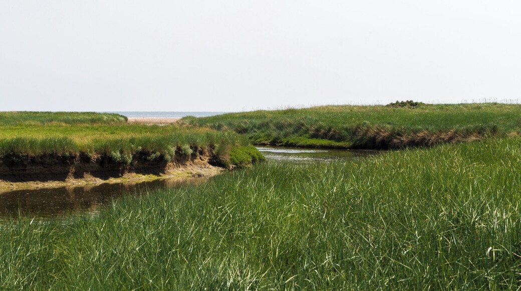 This is a picture of the protected area listed at WDPA under the ID