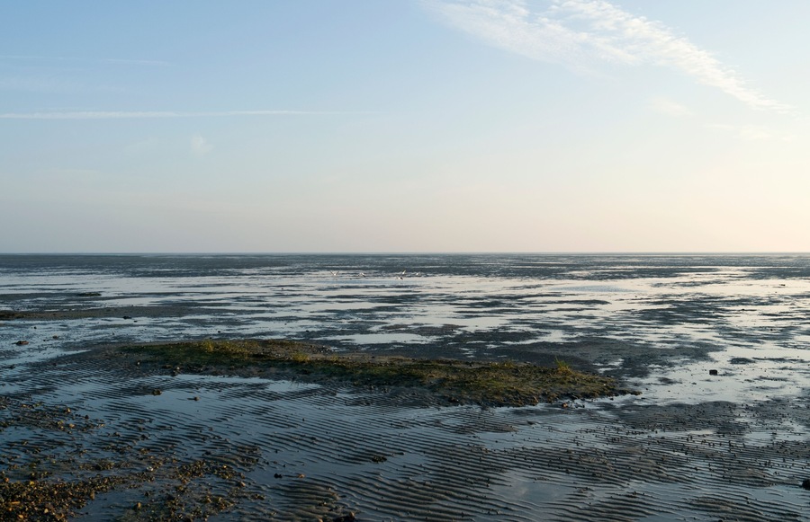 Foehr / Germany: View over the dry fallen Frisian Wadden Sea near Witsum at ebb tide, Shutterstock ID 1051530263, Purchase Order: -