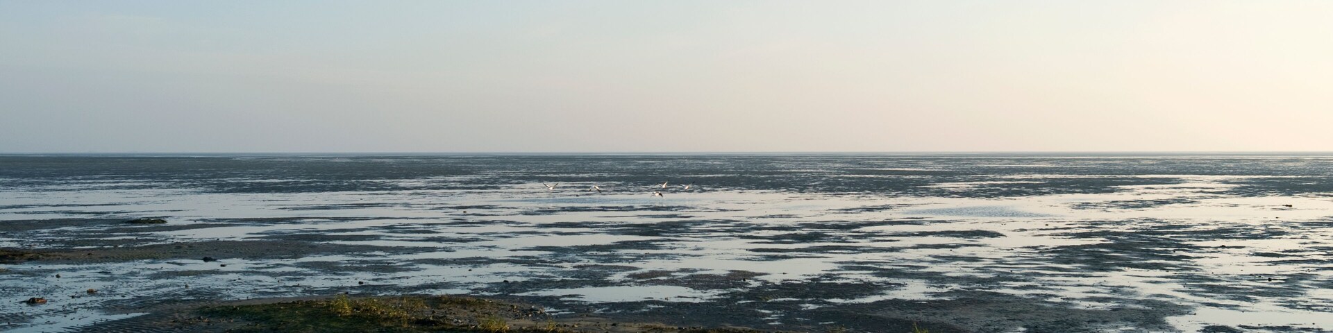 Foehr / Germany: View over the dry fallen Frisian Wadden Sea near Witsum at ebb tide, Shutterstock ID 1051530263, Purchase Order: -