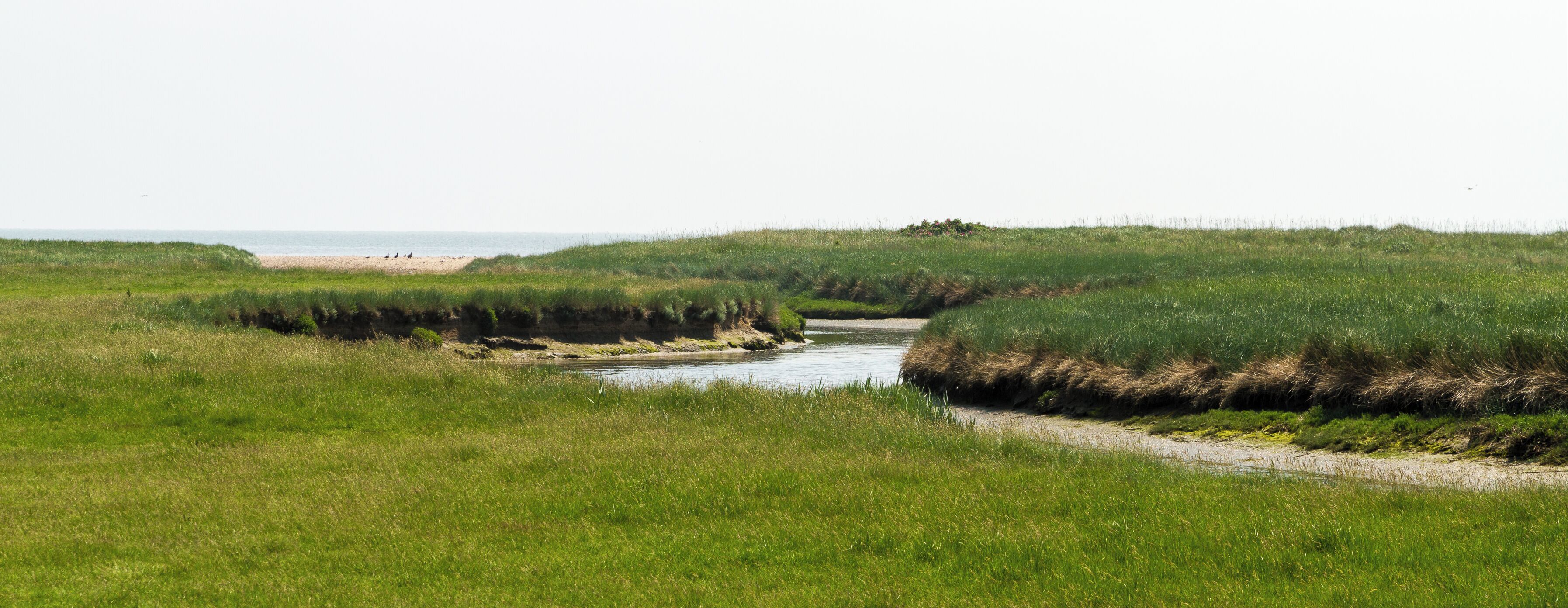 This is a picture of the protected area listed at WDPA under the ID