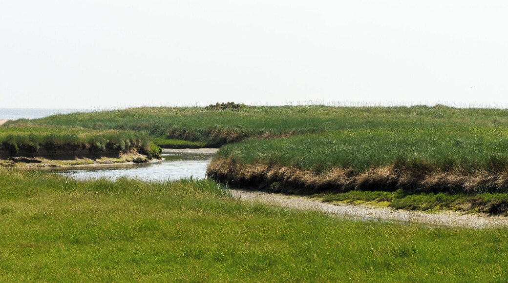 This is a picture of the protected area listed at WDPA under the ID