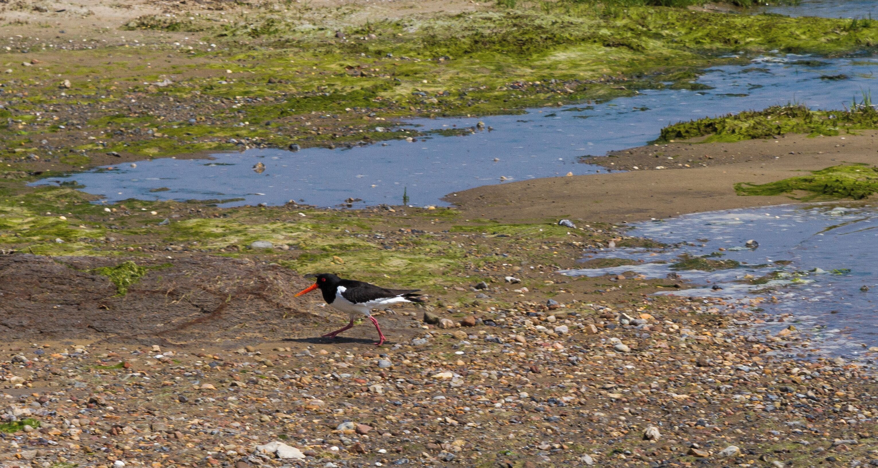 This is a picture of the protected area listed at WDPA under the ID