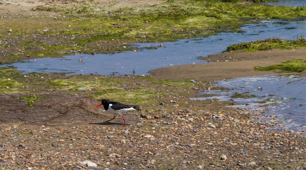 This is a picture of the protected area listed at WDPA under the ID