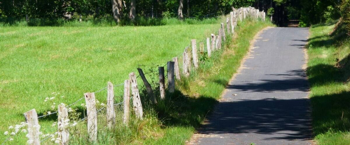 A narrow rural road bordered by a wooden fence and lush greenery.