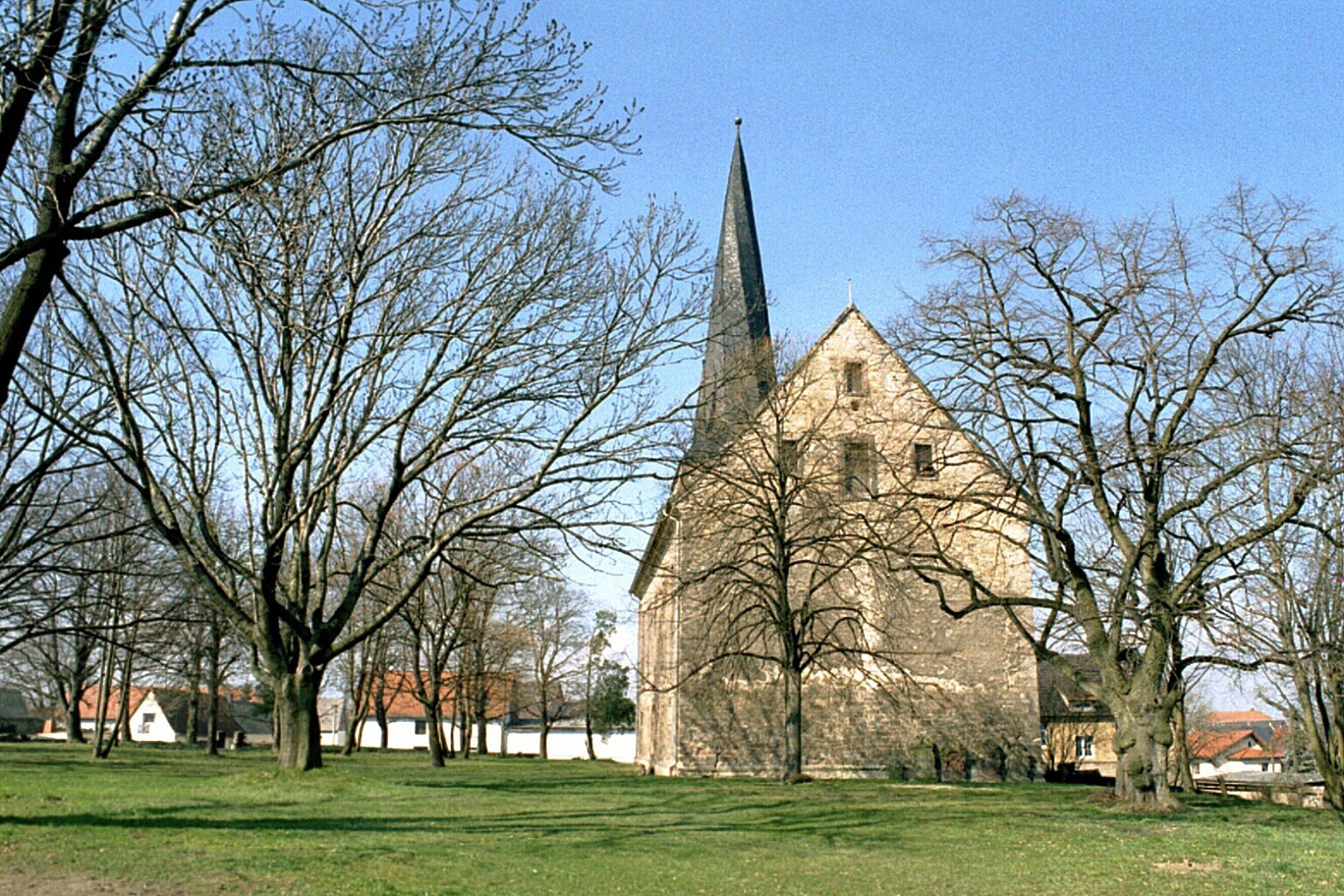 A church with a tall spire, surrounded by leafless trees and a grassy field.