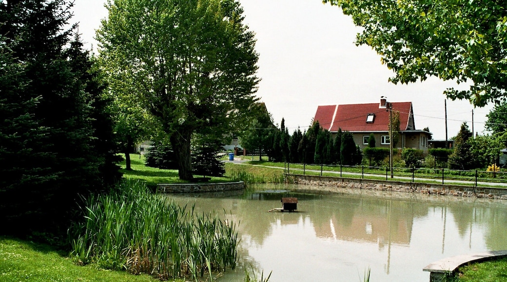 Göhritz (Barnstädt), the village pond