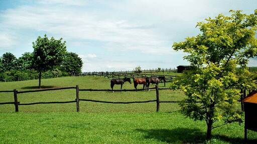 Heichelheim, nearby the windmill