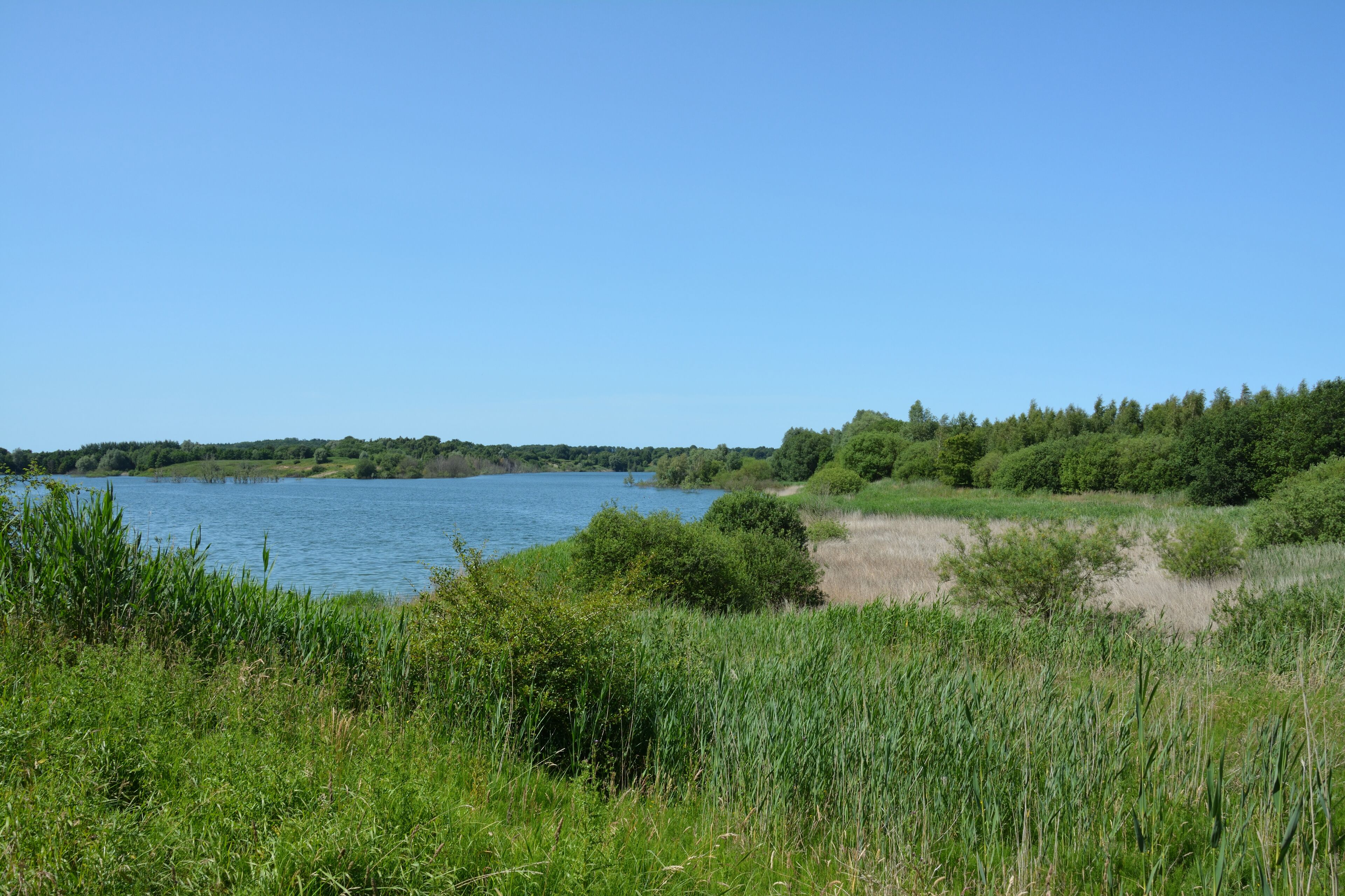 Die Tongrube Muldsberg ist ein ehemaliger Tagebau der Breitenburger Portland-Cement-Fabrik (heute Holcim) in der Gemeinde Mehlbek. Die Grube füllt sich allmählich mit Grundwasser, es entsteht ein künstlicher See. Ein Rundweg von ca. fünf Kilometer Länge führt rund um den See. Impressionen am See