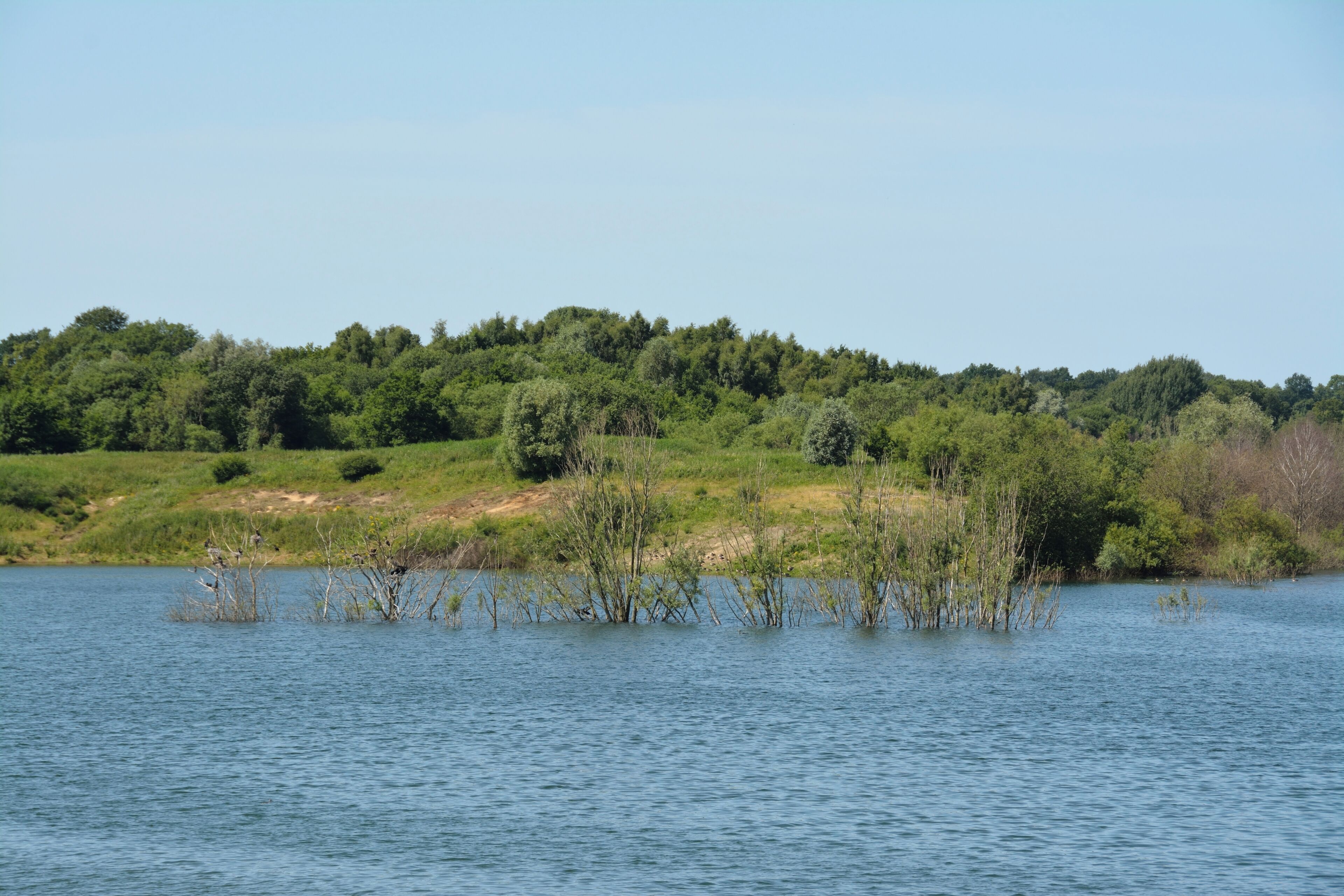 Die Tongrube Muldsberg ist ein ehemaliger Tagebau der Breitenburger Portland-Cement-Fabrik (heute Holcim) in der Gemeinde Mehlbek. Die Grube füllt sich allmählich mit Grundwasser, es entsteht ein künstlicher See. Ein Rundweg von ca. fünf Kilometer Länge führt rund um den See. Kormorankolonie auf teilweise versunkenen Bäumen