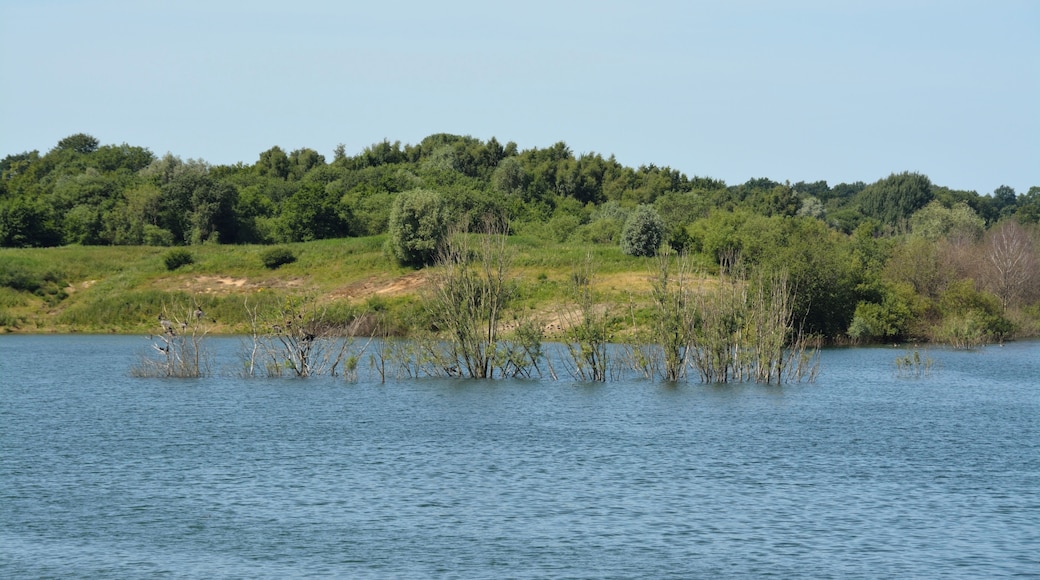 Die Tongrube Muldsberg ist ein ehemaliger Tagebau der Breitenburger Portland-Cement-Fabrik (heute Holcim) in der Gemeinde Mehlbek. Die Grube füllt sich allmählich mit Grundwasser, es entsteht ein künstlicher See. Ein Rundweg von ca. fünf Kilometer Länge führt rund um den See. Kormorankolonie auf teilweise versunkenen Bäumen