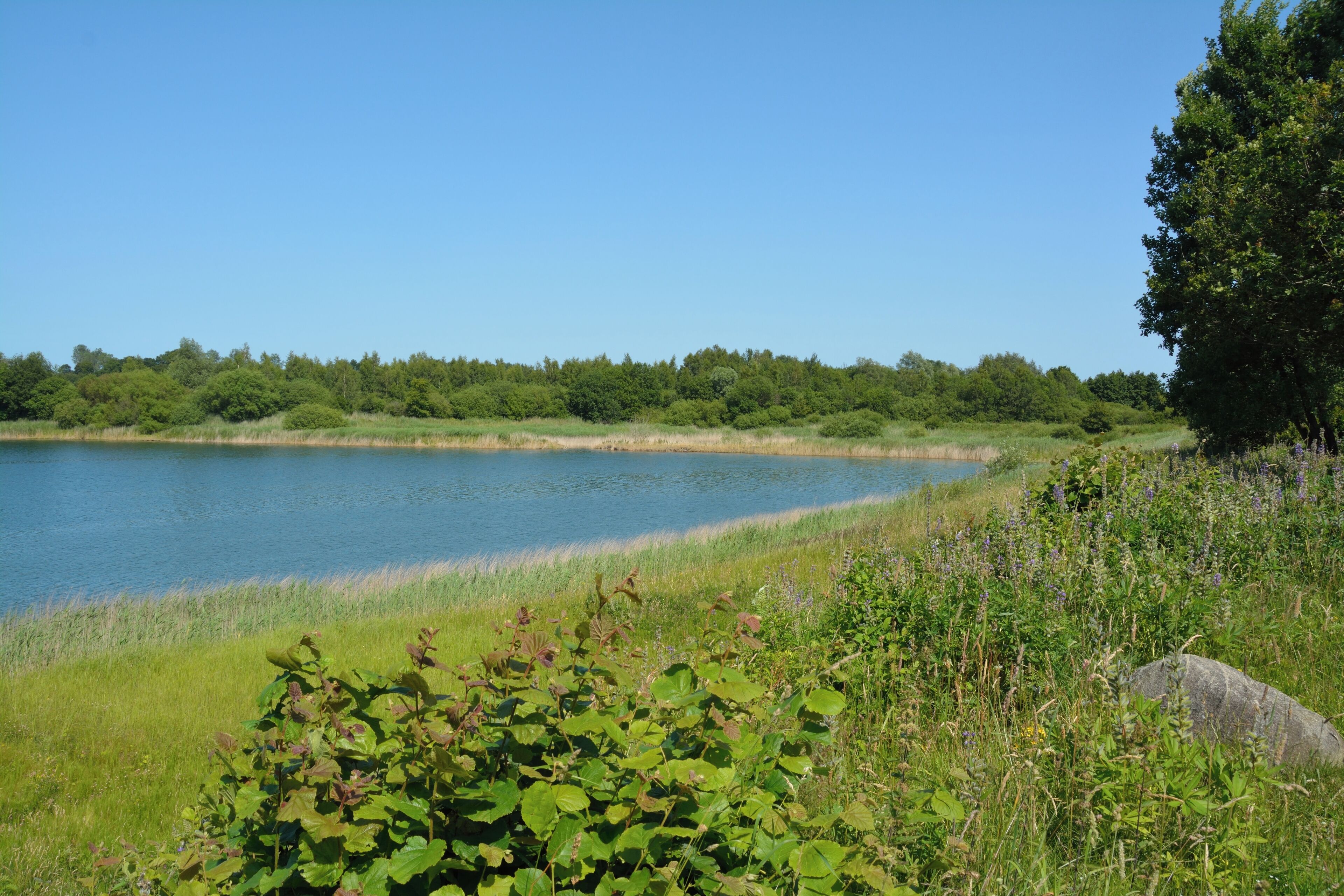 Die Tongrube Muldsberg ist ein ehemaliger Tagebau der Breitenburger Portland-Cement-Fabrik (heute Holcim) in der Gemeinde Mehlbek. Die Grube füllt sich allmählich mit Grundwasser, es entsteht ein künstlicher See. Ein Rundweg von ca. fünf Kilometer Länge führt rund um den See. Impressionen am See
