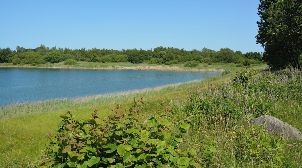 Die Tongrube Muldsberg ist ein ehemaliger Tagebau der Breitenburger Portland-Cement-Fabrik (heute Holcim) in der Gemeinde Mehlbek. Die Grube füllt sich allmählich mit Grundwasser, es entsteht ein künstlicher See. Ein Rundweg von ca. fünf Kilometer Länge führt rund um den See. Impressionen am See