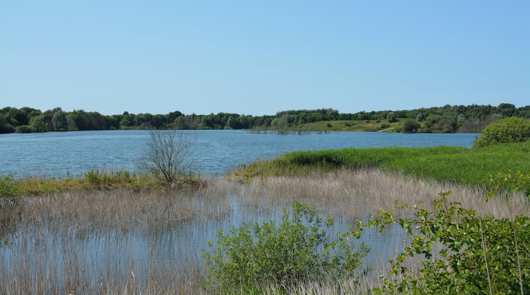 Die Tongrube Muldsberg ist ein ehemaliger Tagebau der Breitenburger Portland-Cement-Fabrik (heute Holcim) in der Gemeinde Mehlbek. Die Grube füllt sich allmählich mit Grundwasser, es entsteht ein künstlicher See. Ein Rundweg von ca. fünf Kilometer Länge führt rund um den See. Impressionen am See