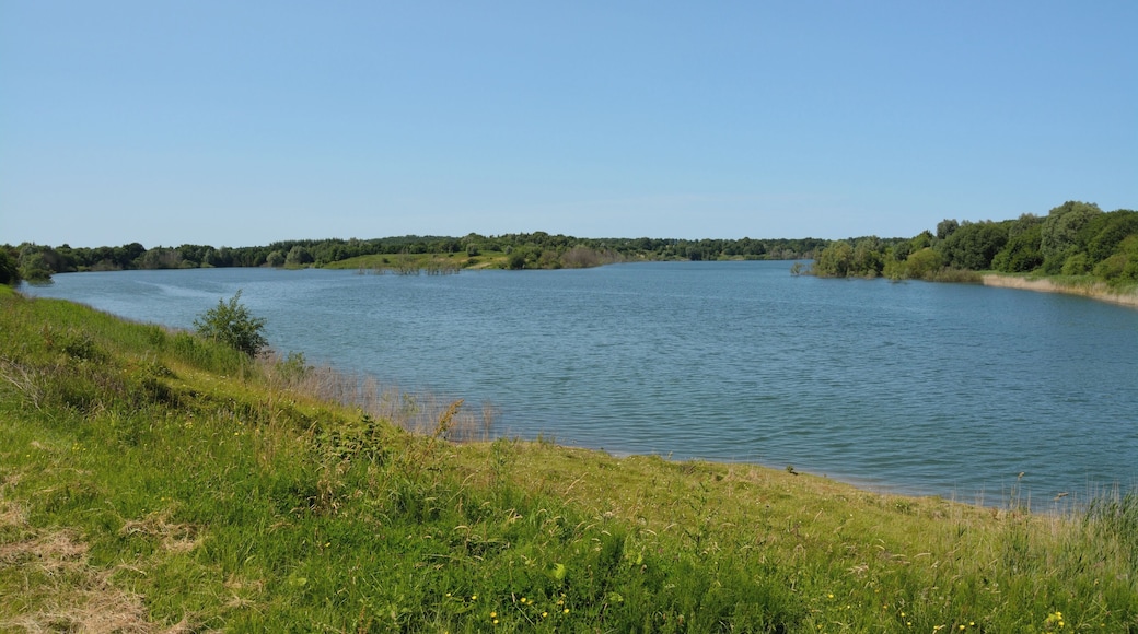 Die Tongrube Muldsberg ist ein ehemaliger Tagebau der Breitenburger Portland-Cement-Fabrik (heute Holcim) in der Gemeinde Mehlbek. Die Grube füllt sich allmählich mit Grundwasser, es entsteht ein künstlicher See. Ein Rundweg von ca. fünf Kilometer Länge führt rund um den See. Impressionen am See