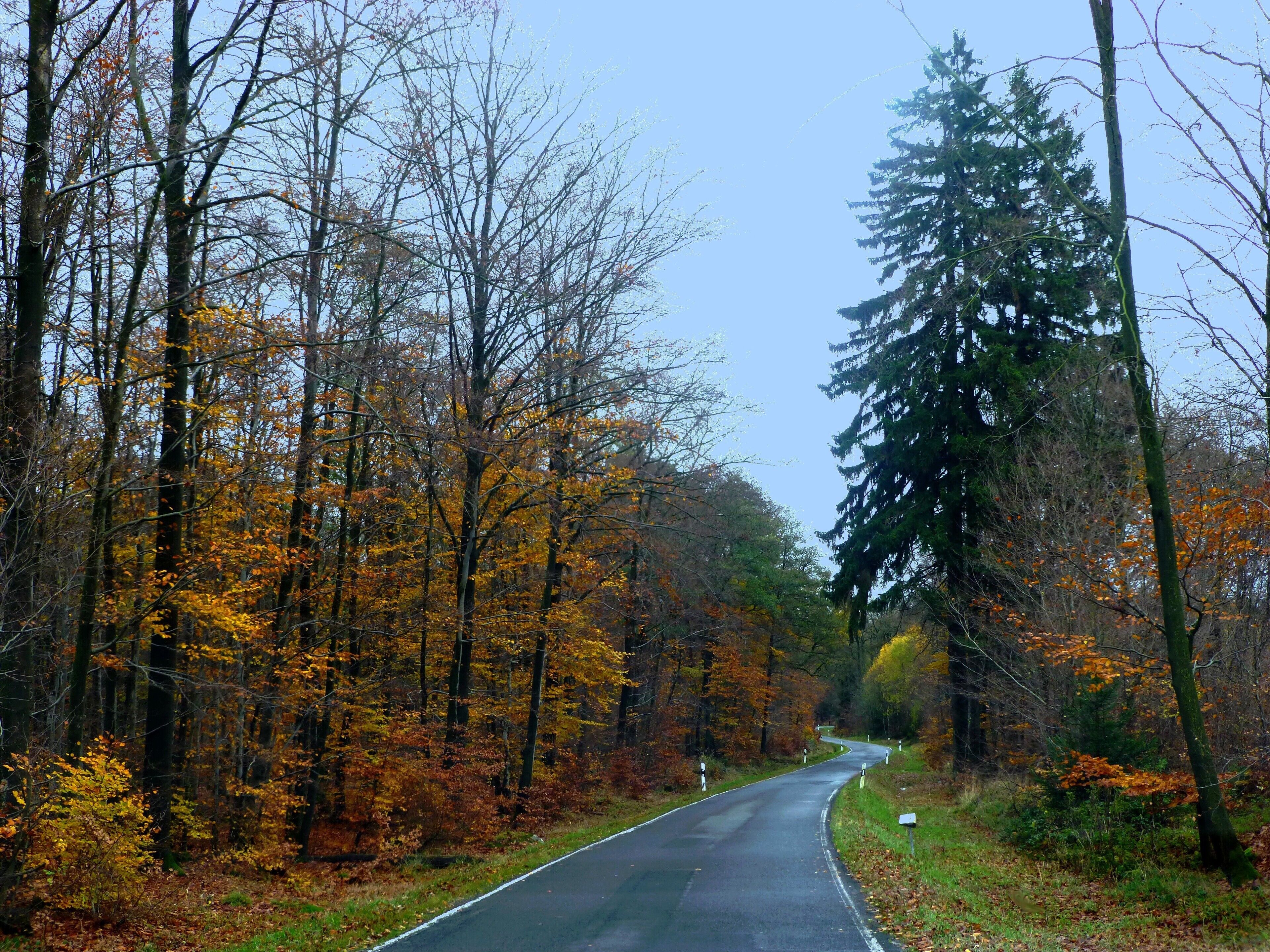 Auf der L108 zwischen Tiefenbach und Kreershäuschen – Nähe Rennweg