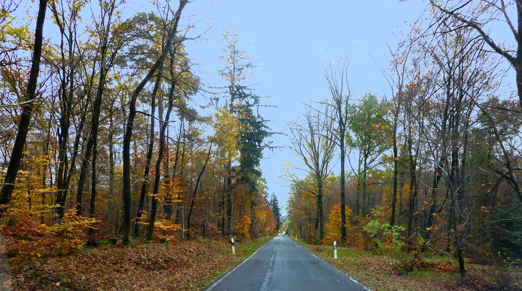 Auf der L108 zwischen Tiefenbach und Kreershäuschen