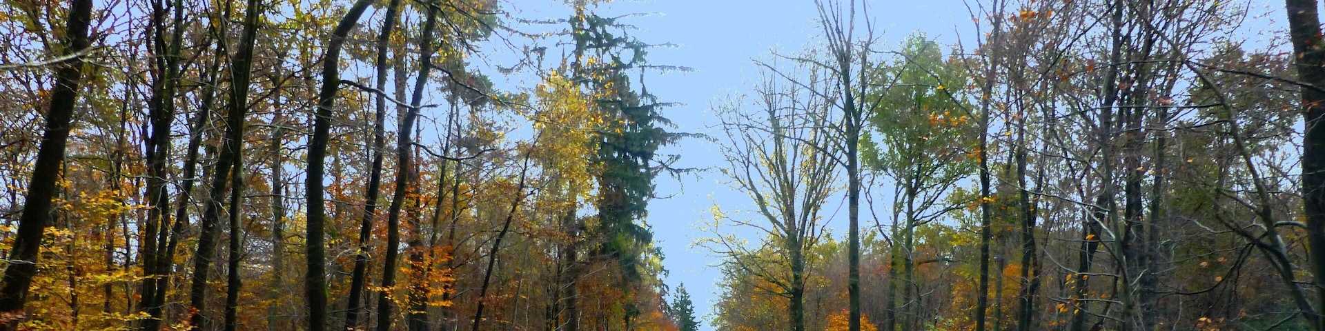 Auf der L108 zwischen Tiefenbach und Kreershäuschen