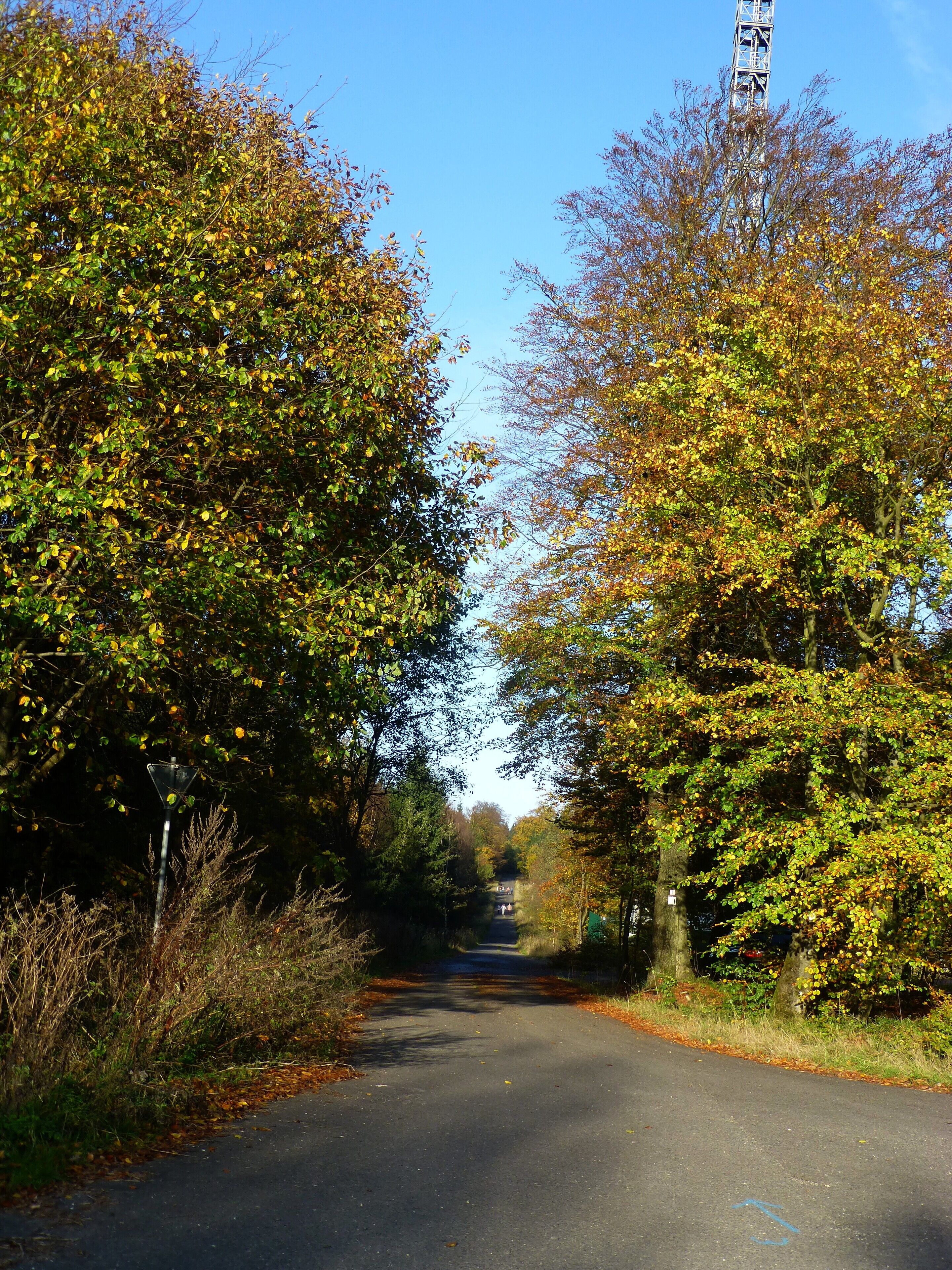 Soonwald – Wanderparkplatz Rennweg - Ellerspring