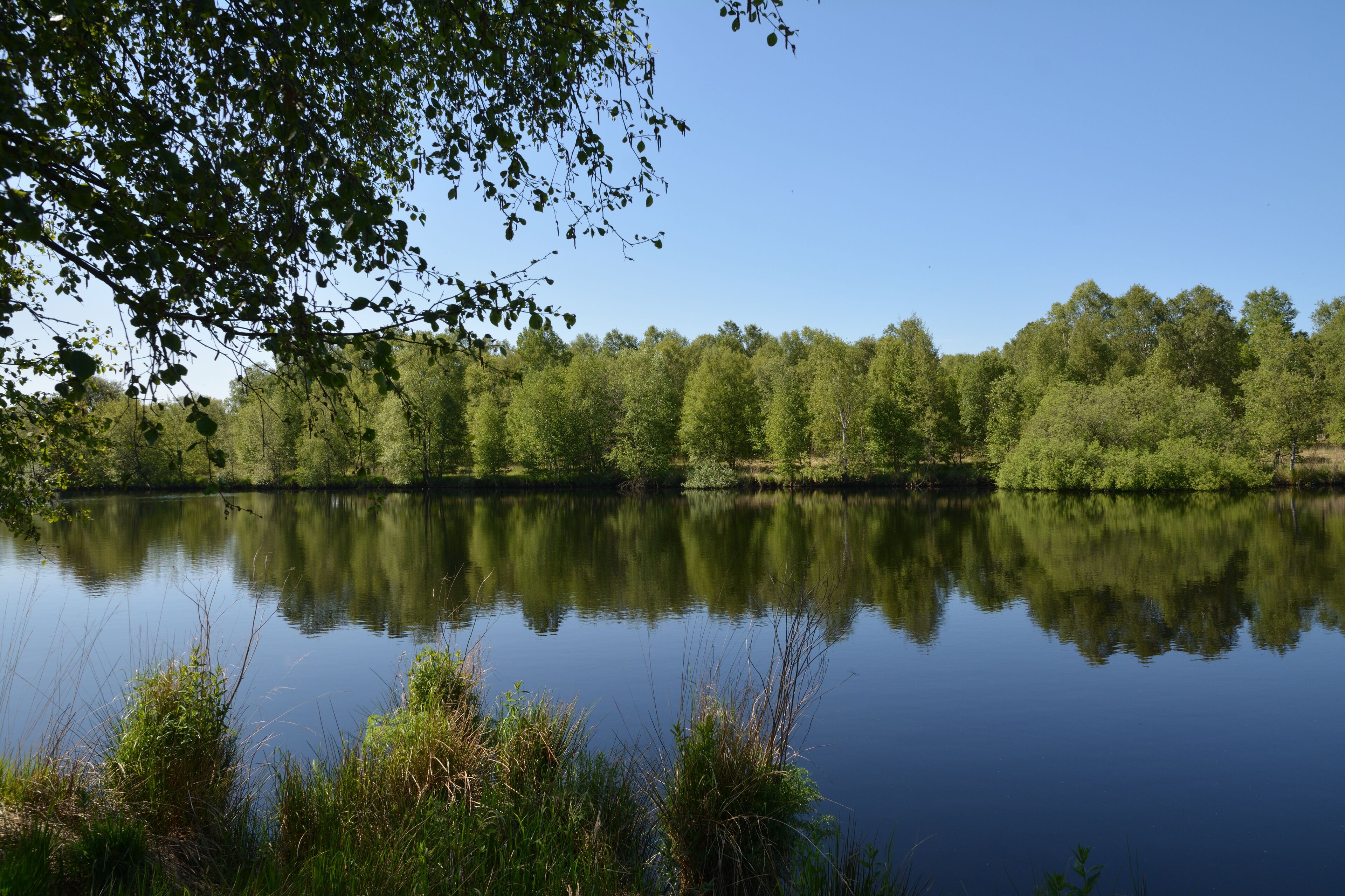 This is a picture of the protected area listed at WDPA under the ID