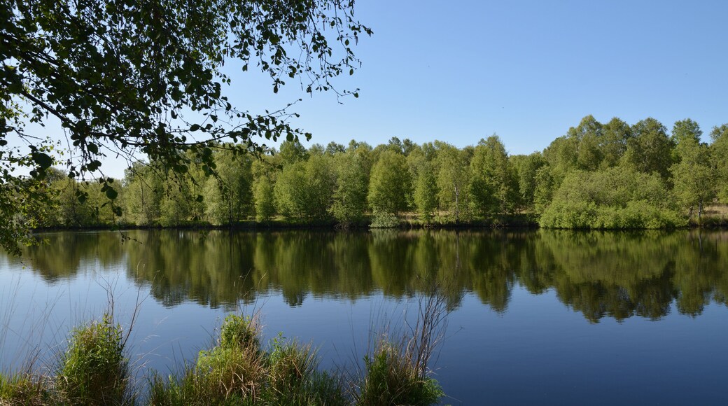 This is a picture of the protected area listed at WDPA under the ID