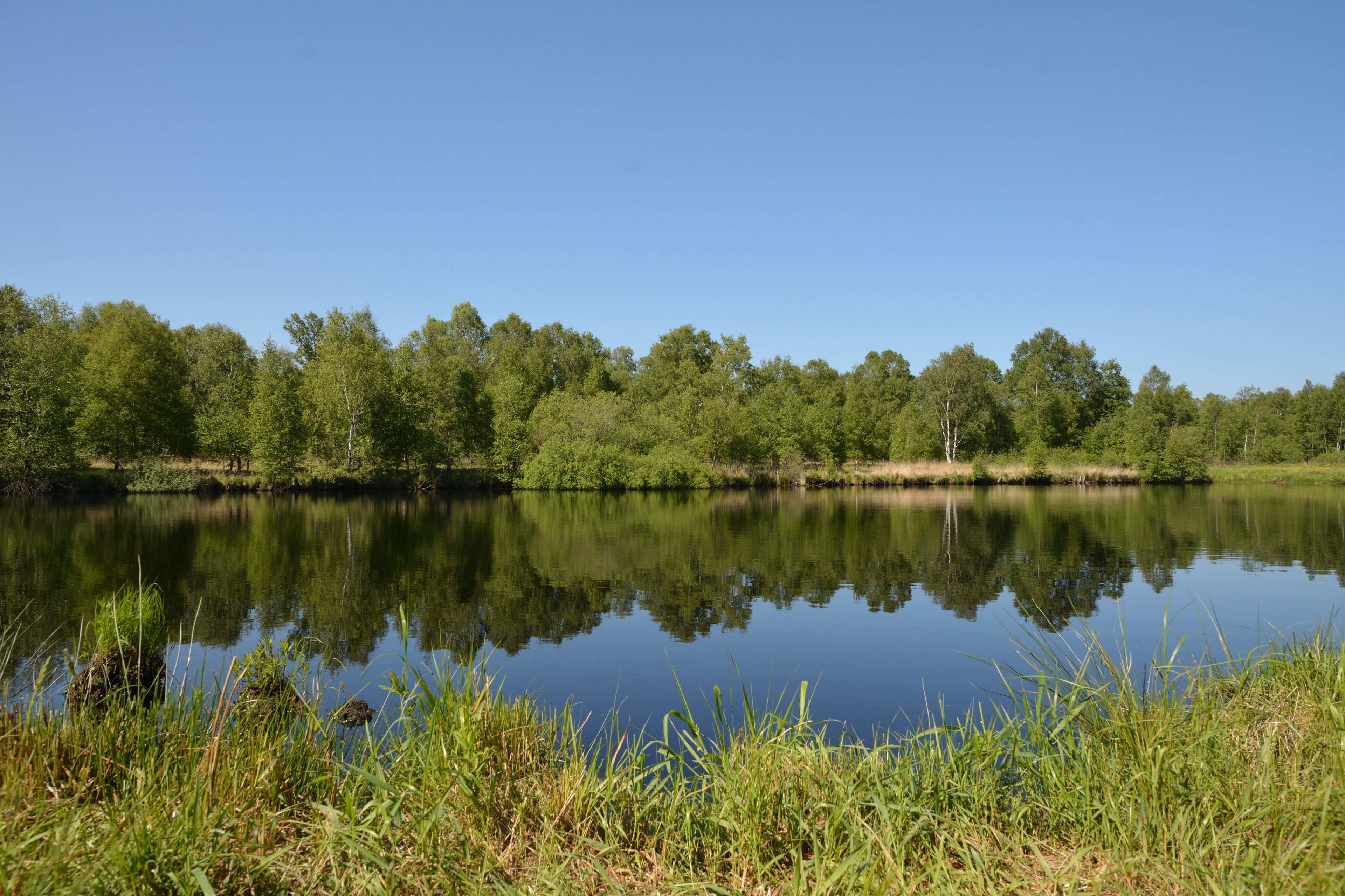 This is a picture of the protected area listed at WDPA under the ID