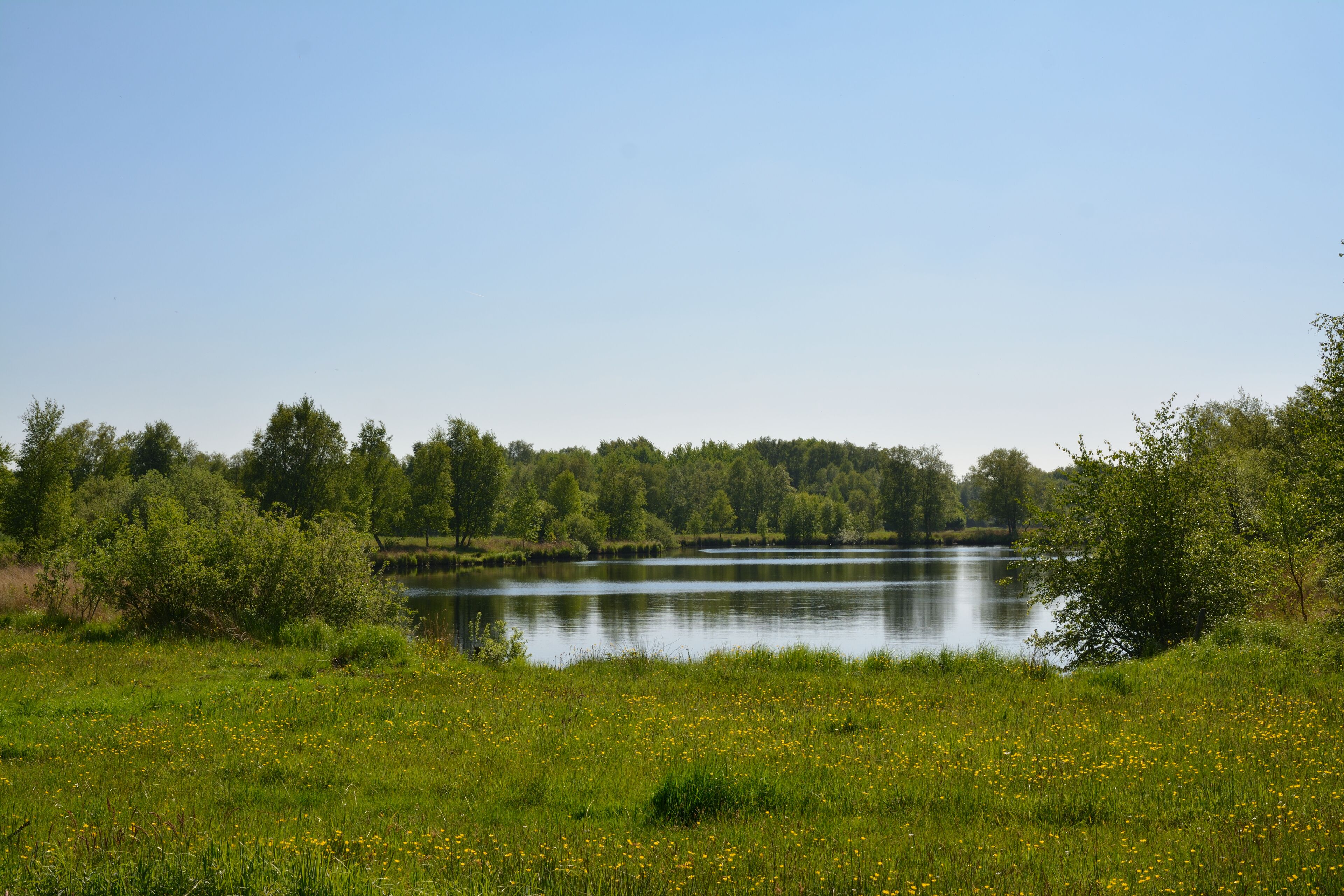 This is a picture of the protected area listed at WDPA under the ID