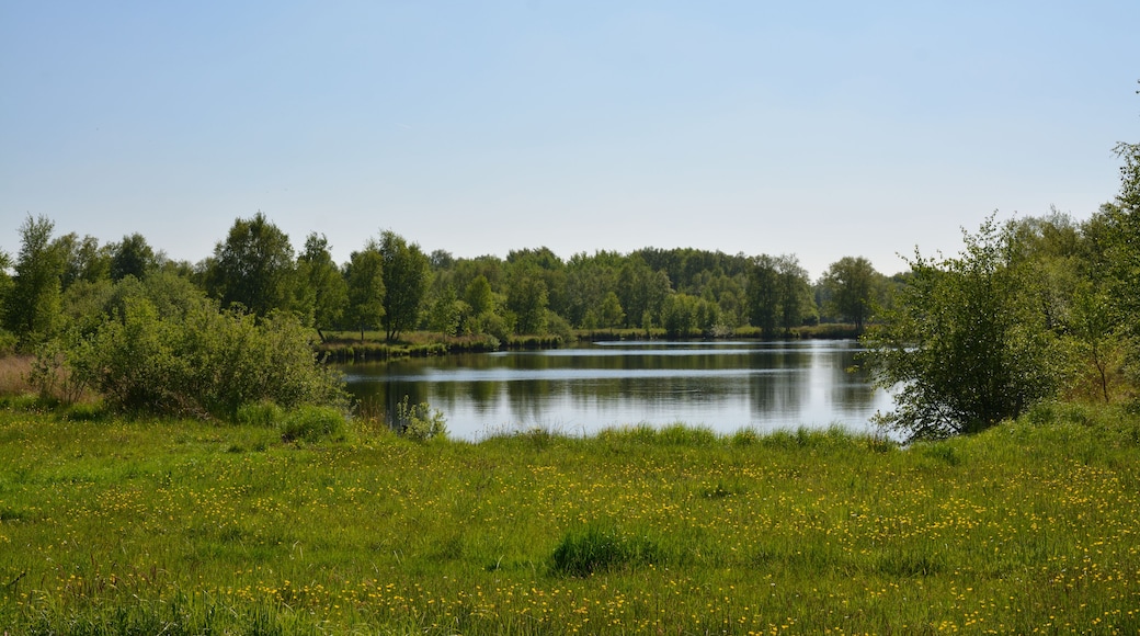 This is a picture of the protected area listed at WDPA under the ID