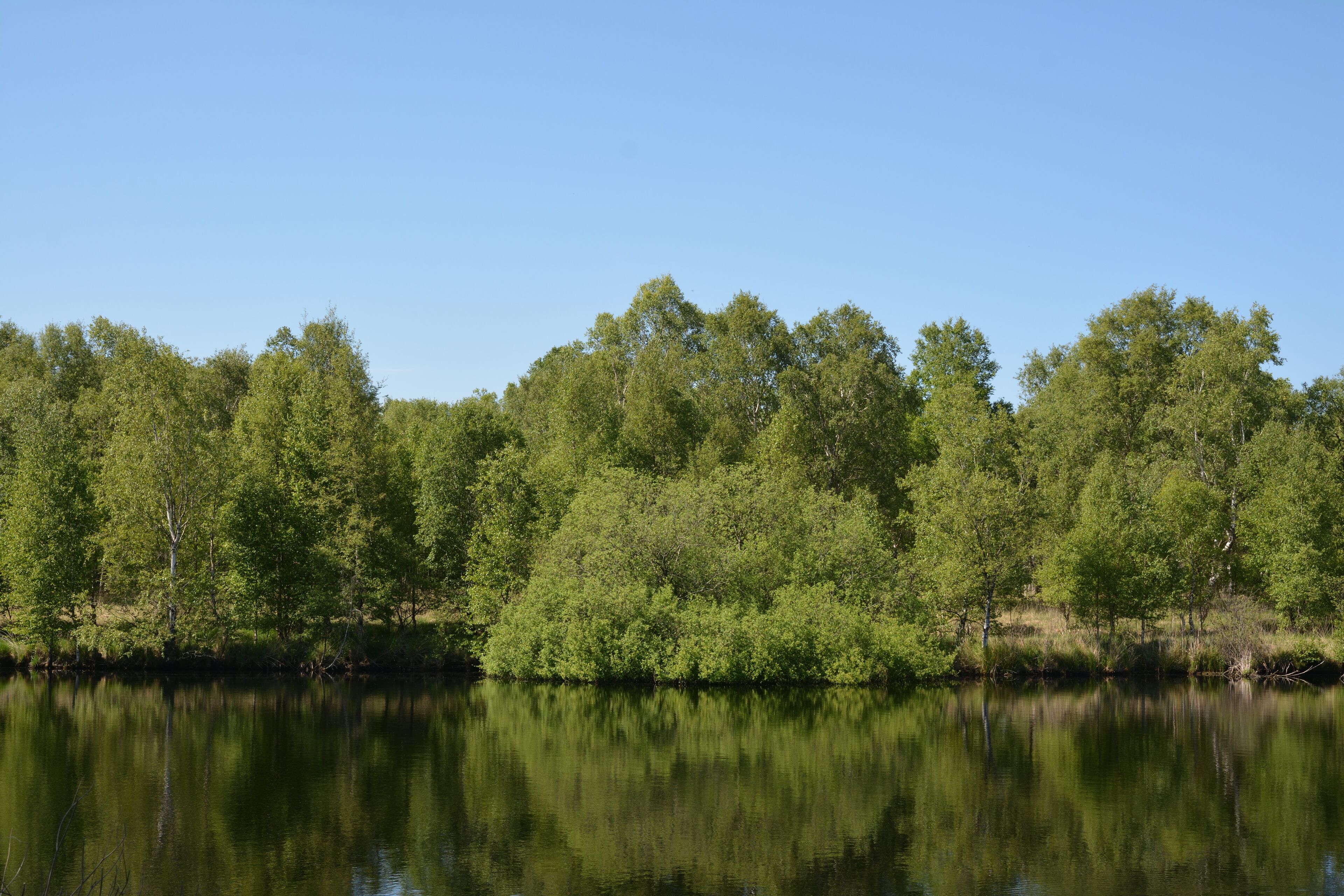 This is a picture of the protected area listed at WDPA under the ID