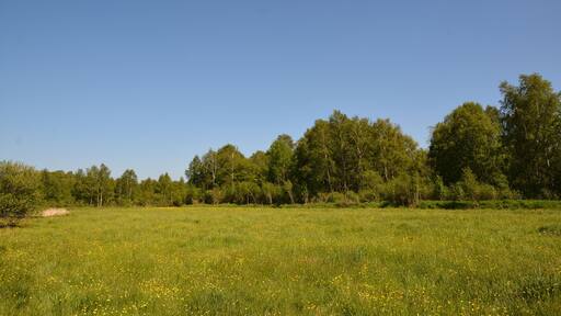 This is a picture of the protected area listed at WDPA under the ID