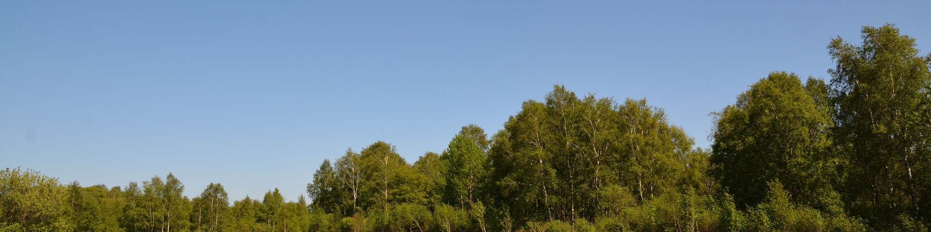 This is a picture of the protected area listed at WDPA under the ID