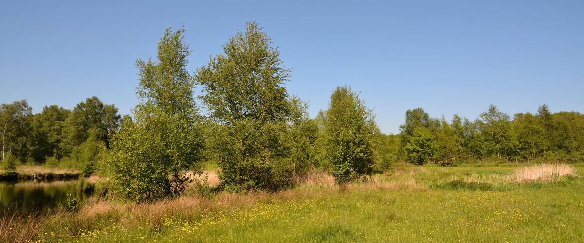 This is a picture of the protected area listed at WDPA under the ID