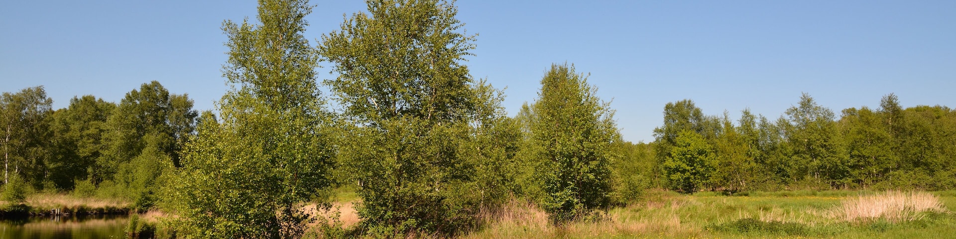 This is a picture of the protected area listed at WDPA under the ID