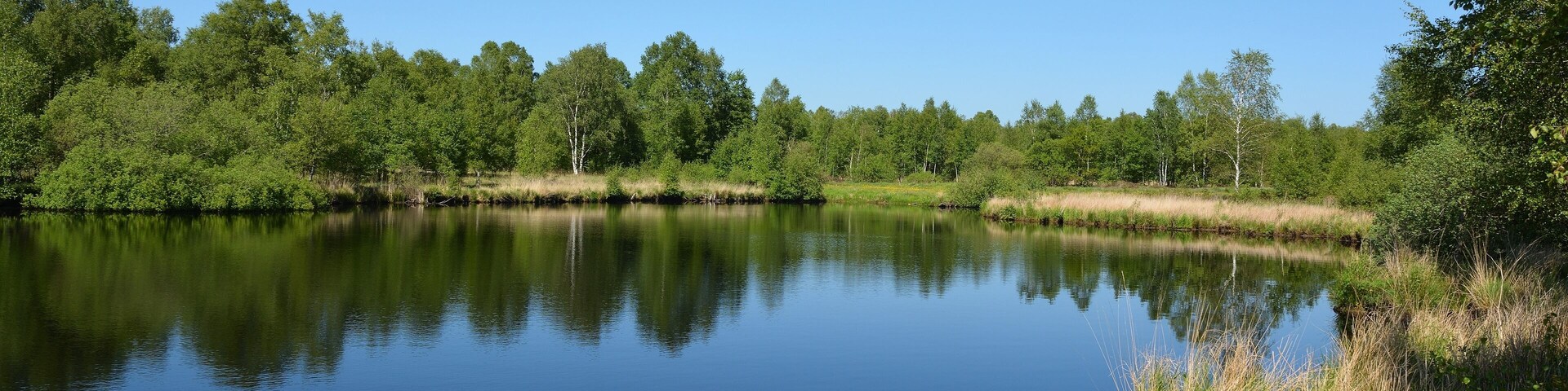 This is a picture of the protected area listed at WDPA under the ID