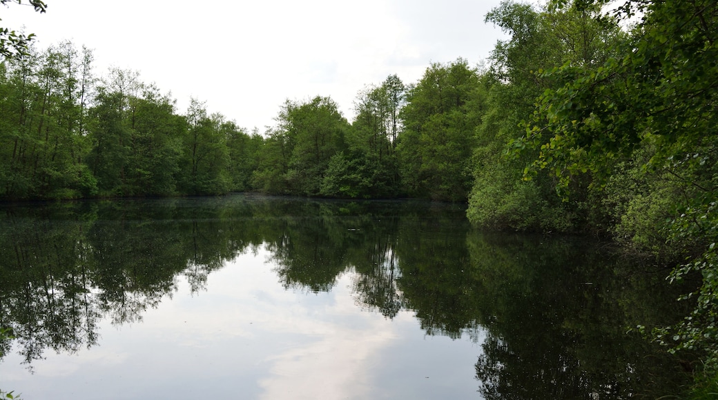 Impressionen aus dem Landschaftsschutzgebiet "Geesthang bei Dägeling mit Bockwischer Moor"