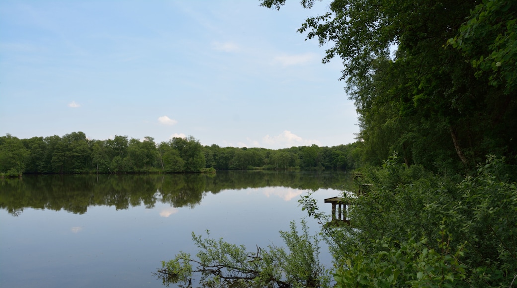 Impressionen aus dem Landschaftsschutzgebiet "Geesthang bei Dägeling mit Bockwischer Moor"