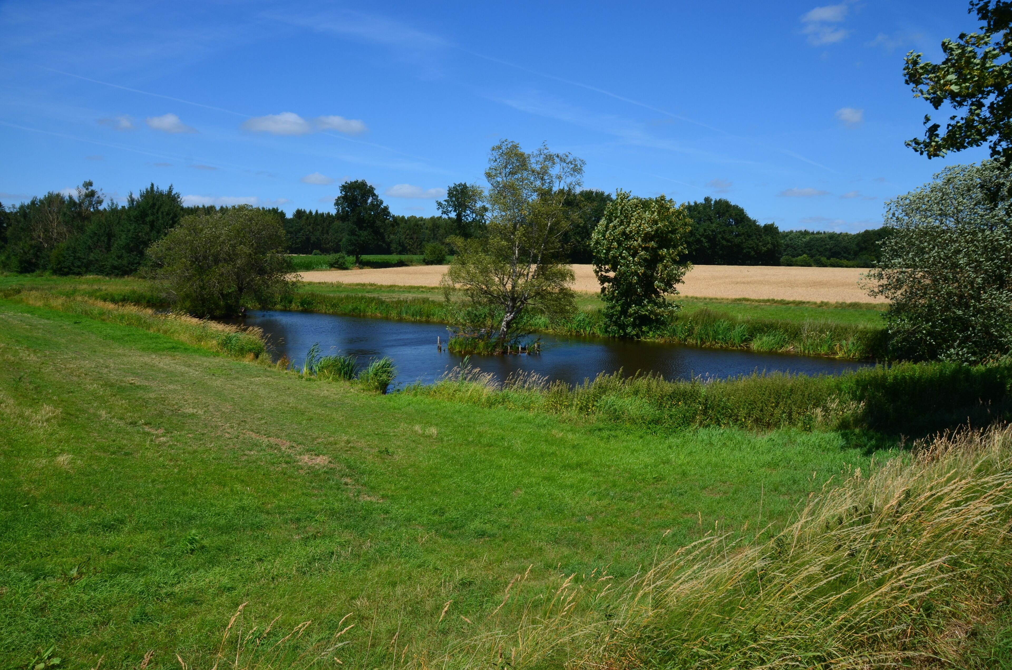 Der vom Ihlenbek durchflossene Ihlenbeksteich an der K 45 in Lohbarbek