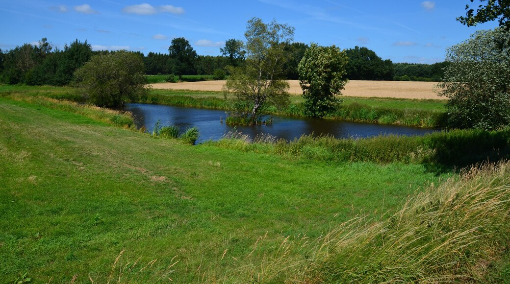 Der vom Ihlenbek durchflossene Ihlenbeksteich an der K 45 in Lohbarbek