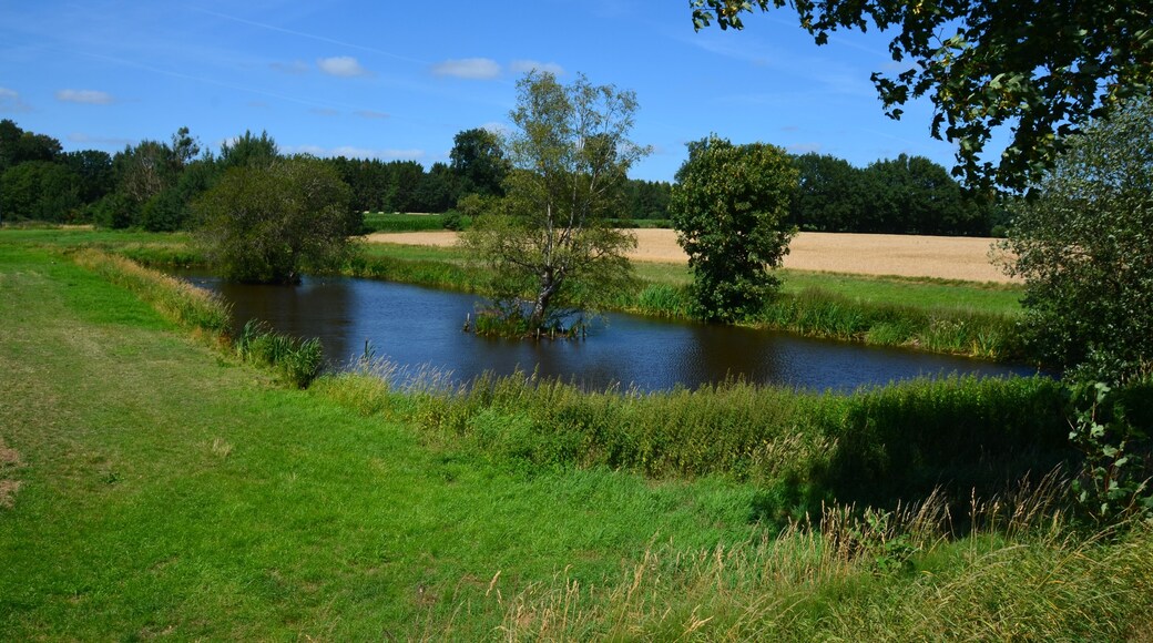 Der vom Ihlenbek durchflossene Ihlenbeksteich an der K 45 in Lohbarbek