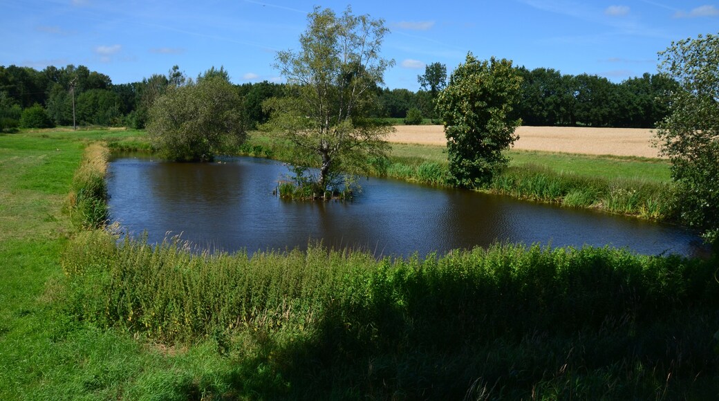 Der vom Ihlenbek durchflossene Ihlenbeksteich an der K 45 in Lohbarbek