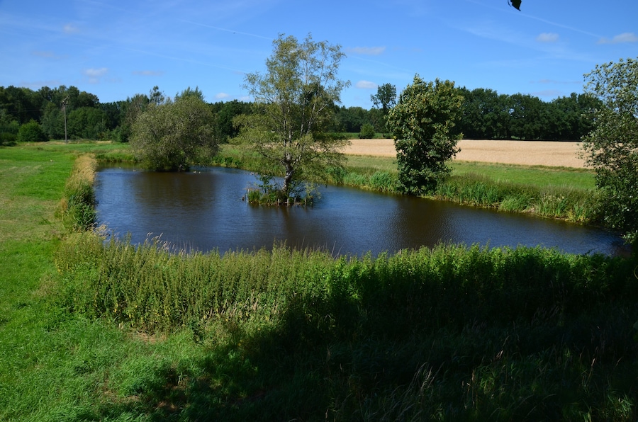 A calm river with trees and grassy banks.