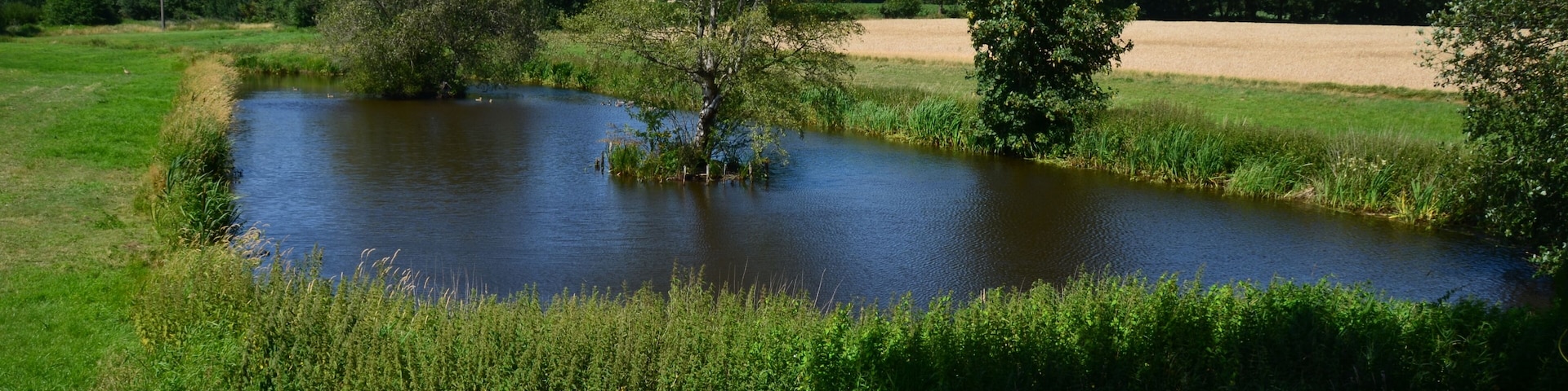 Der vom Ihlenbek durchflossene Ihlenbeksteich an der K 45 in Lohbarbek