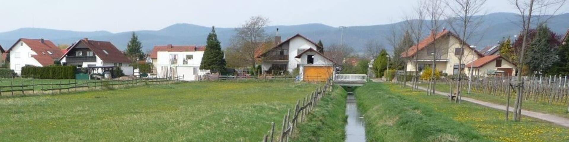 FlieĂgewĂ€sser in Niederkirchen