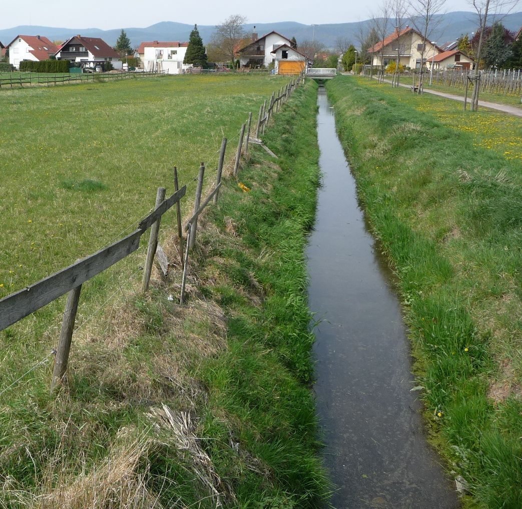 A narrow water channel flanked by wooden fences and grassy banks, with houses in the background.